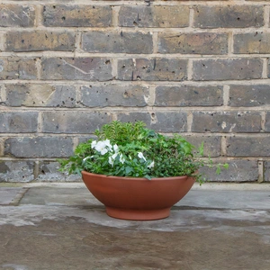 Low Terracotta Bowl 31cm - image 3