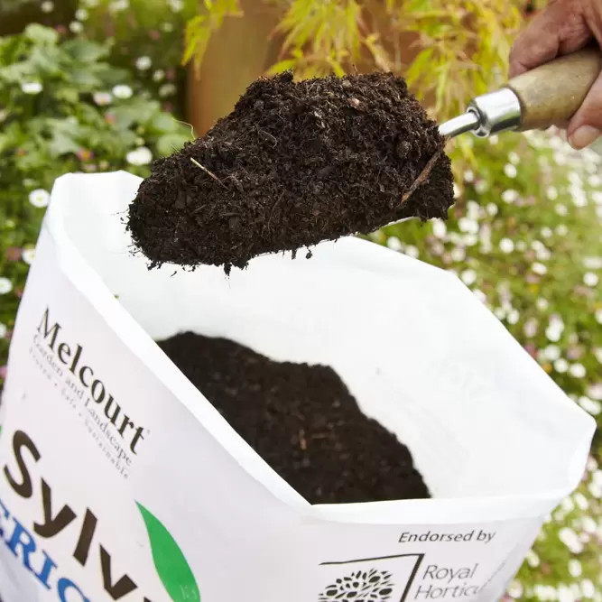Melcourt Ericaceous 100% Peat Free Compost RHS 40L - image 4