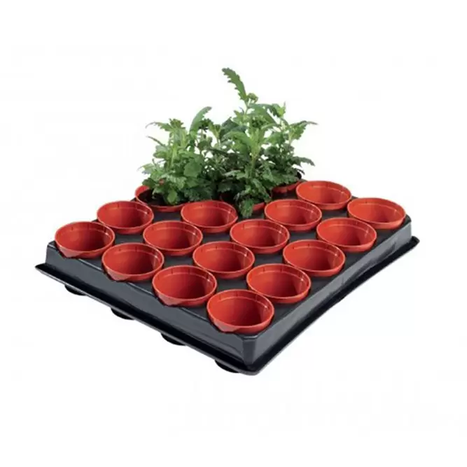 Mini Seed and Cutting Tray ( 20x6cm ) - image 1