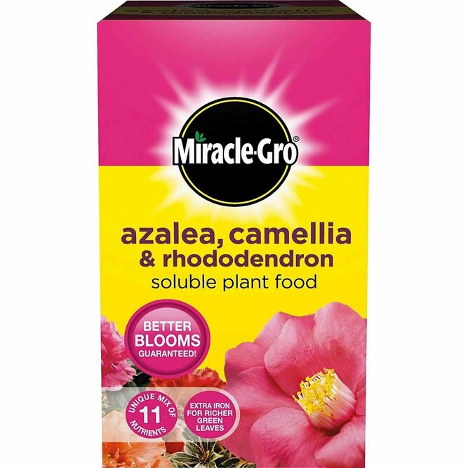 Miracle-Gro Azalea, Camellia & Rhododendron Soluble Plant Food 500g - image 1