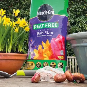 Miracle-Gro® Bulb Fibre: Boost Your Bulb Plants - image 2