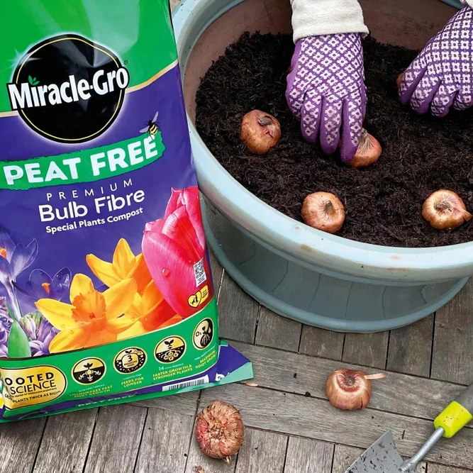 Miracle-Gro® Bulb Fibre: Boost Your Bulb Plants - image 3