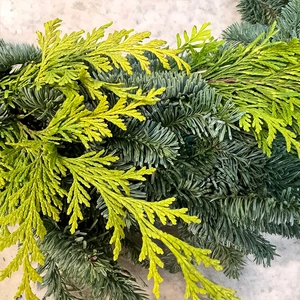 Mixed Pine Wreath (30cm) Christmas Wreath - image 2