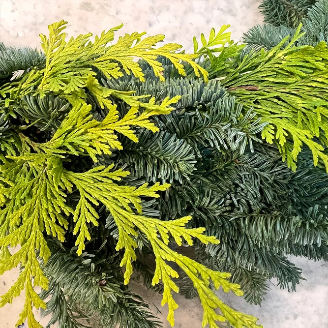 Mixed Pine Wreath (40cm) Christmas Wreath - image 2