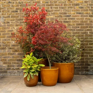 Noble Ochre Glazed Terracotta Egg Pot Planter (D48x43cm) Outdoor Plant Pot - image 2