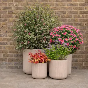 Nuovo Plant Pot - Beige (D25xH25) Ribbed Fibreclay Outdoor Planter - image 2