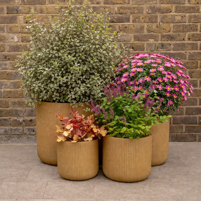 Nuovo Plant Pot - Brown (D30xH30) Ribbed Fibreclay Outdoor Planter - image 2