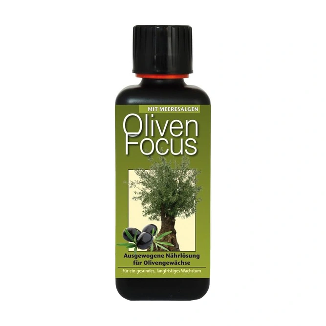 Olive Focus Feed (300ml) Olive Tree Plant Food - image 1