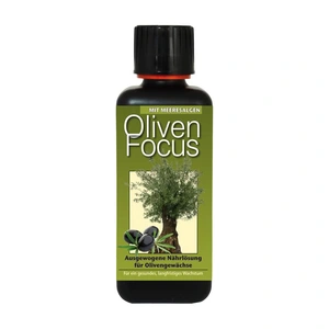 Olive Focus Feed (300ml) Olive Tree Plant Food - image 1