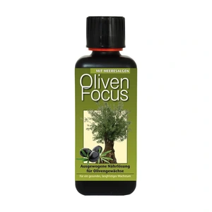 Olive Focus Feed - Olive Tree Plant Food