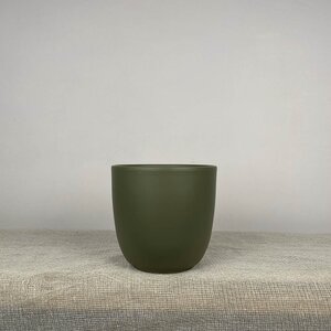 Olivia Olive-Green D10cm x H9cm Indoor Plant Pot Cover - image 1