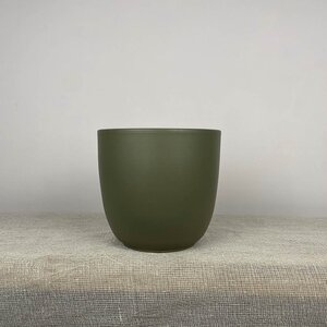 Olivia Olive-Green D17cm x H16cm Indoor Plant Pot Cover
