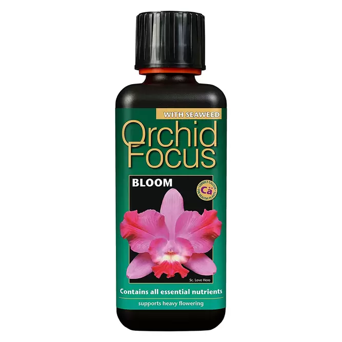 Orchid Focus Bloom 300ml Orchid Plant Food - image 1