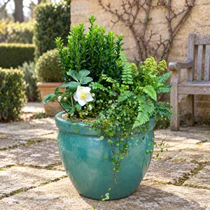 Oxford Winter Planter