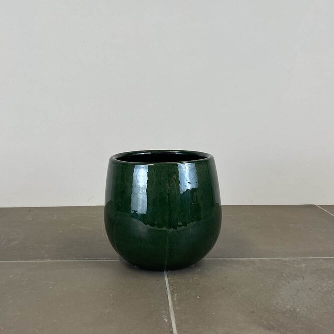 Pablo Dark Green (D14cm x H12cm) Indoor Plant Pot Cover - image 1