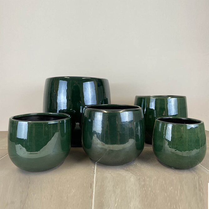 Pablo Dark Green (D16cm x H14cm) Indoor Plant Pot Cover - image 3