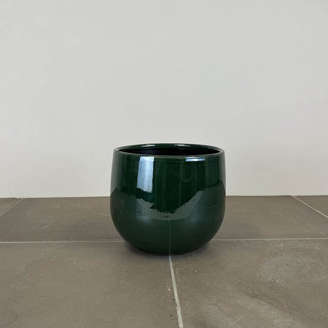 Pablo Dark Green (D16cm x H14cm) Indoor Plant Pot Cover - image 1