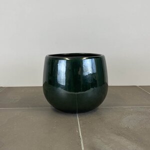 Pablo Dark Green (D18cm x H16cm) Indoor Plant Pot Cover - image 1