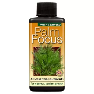 Palm Focus 100ml - image 1