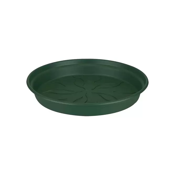 Plastic Plant Pot Saucer Green (Diameter 17cm)