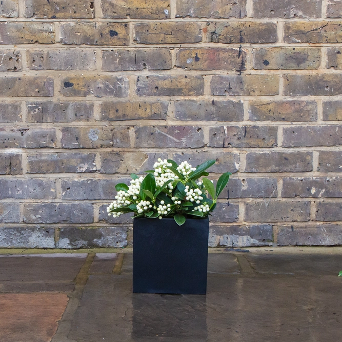Polystone Cube Outdoor Pot D30cm x H30cm - image 3