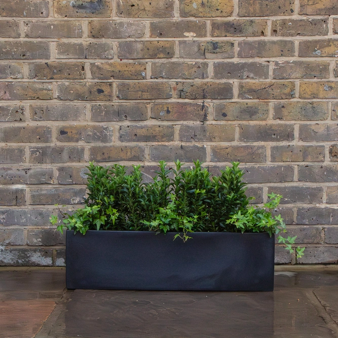Polystone Window Box Planter L70cm x W20cm x H20cm - image 3