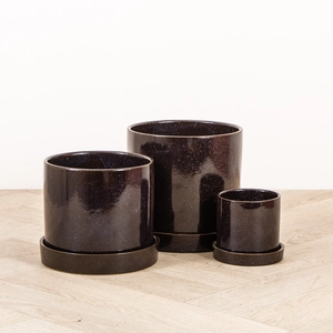 Potted Houseplant Trio GIft Set - image 2