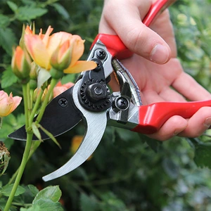 Professional Pruner - Darlac - image 2