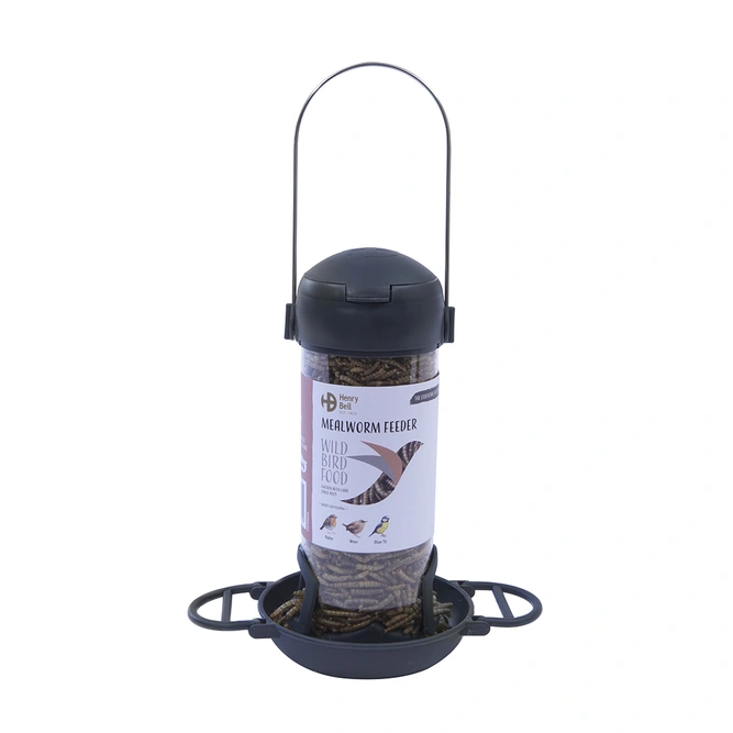 Ready To Feed Filled Mealworm Bird Feeder - Henry Bell