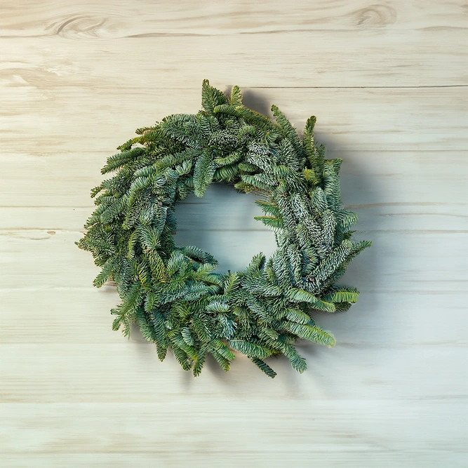 Real Pine Christmas Wreath (25cm) - image 1