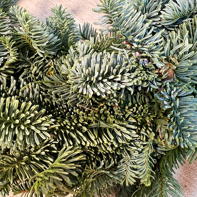Real Pine Christmas Wreath (25cm) - image 5