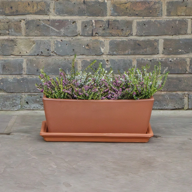 Rectangular Terracotta Saucer L41cm x W17cm - image 4