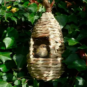 Roosting Nest Pocket Tall - image 1