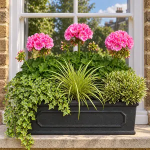 Seasonal Pink Geranium Chelsea Box