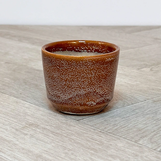 Serra Brown Plant Pot (6cm) - image 2