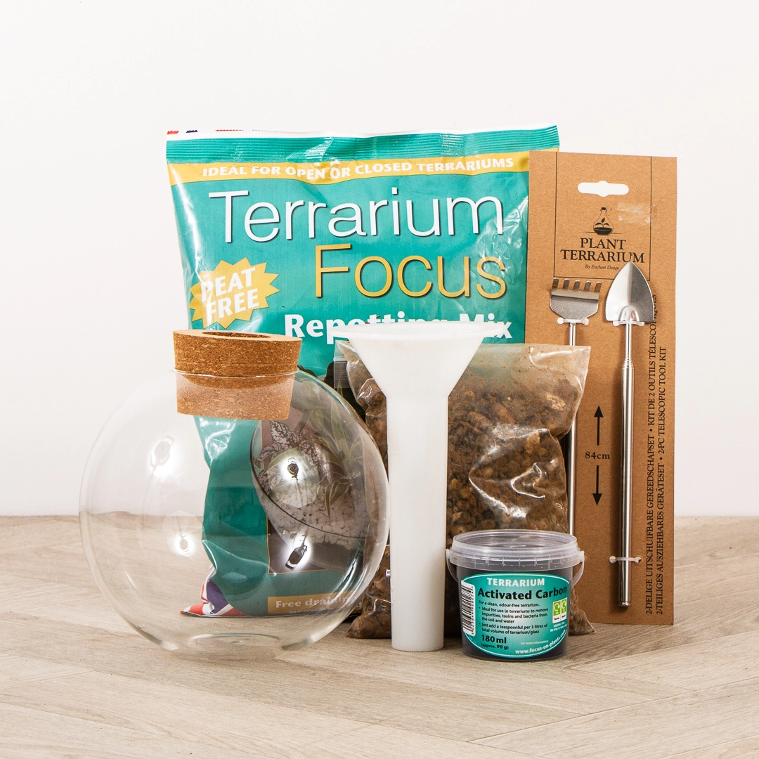 Small Globe Terrarium Gift Set The Boma Garden Centre