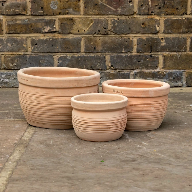 Stan Terracotta Bowl Planter (D28x18cm) Outdoor Plant Pot - image 1