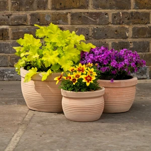 Stan Terracotta Bowl Planter (D28x18cm) Outdoor Plant Pot - image 2