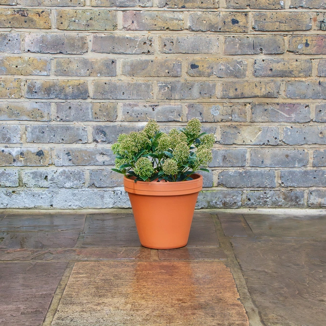 Standard Terracotta Pot Size 23cm Garden Planter - image 5