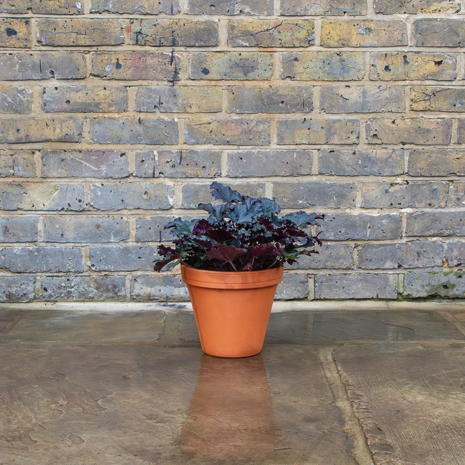 Standard Terracotta Pot Size 21cm Garden Planter - image 5