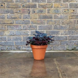Standard Terracotta Pot Size 21cm Garden Planter - image 5