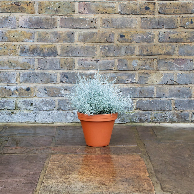 Standard Terracotta Pot Size 19cm Garden Planter - image 5