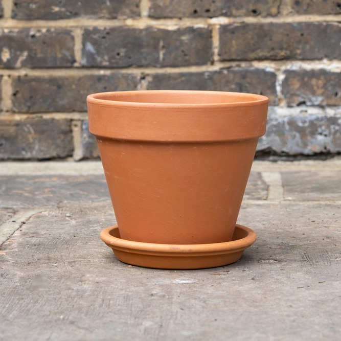 Standard Terracotta Pot Size 25cm Garden Planter - image 5