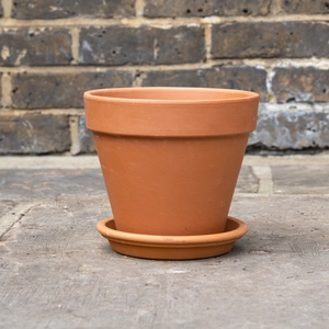 Standard Terracotta Pot Size 25cm Garden Planter - image 5