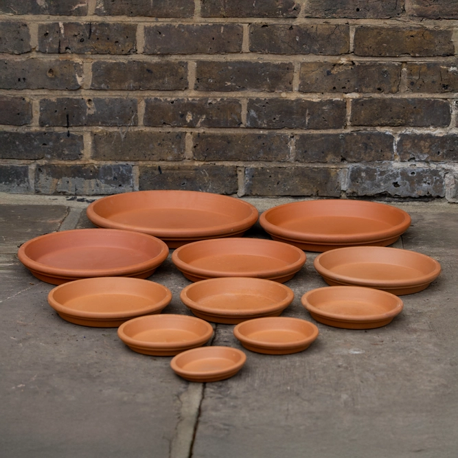 Standard Terracotta Saucer Size 31cm - image 4