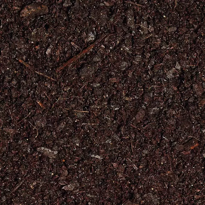 SylvaGrow Organic Peat Free Compost 15L - image 2
