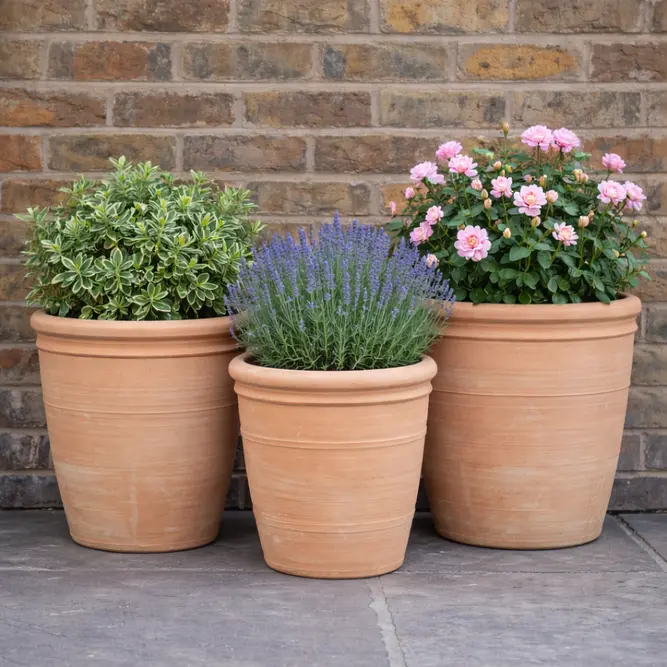 Tall Stan Ring Terracotta Planter (D28x34cm) Handmade Outdoor Plant Pot - image 2