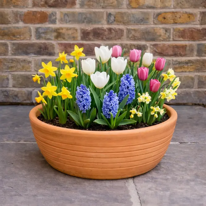 Terracotta Bulb Bowls (Set of 3)- Handmade Outdoor Plant Pots - image 2