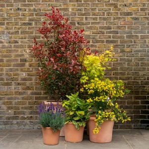 Terracotta Cortona Planter (D33xH27cm) Handmade Outdoor Pot - image 3