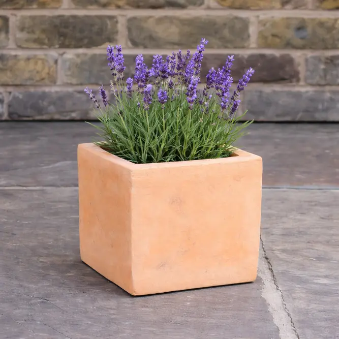 Terracotta Cube Garden Pot (D17cm) Handmade Outdoor Plant Pot - image 2